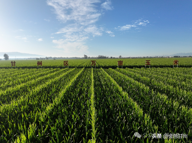 曹 斌 | 沙井八景
