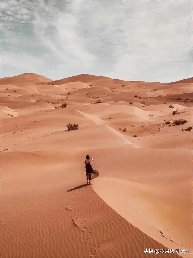夕阳下的思绪——永恒的家国情怀