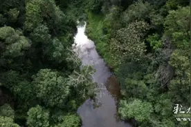 昆明周边｜去多少次也不会腻的安宁黑风山图片