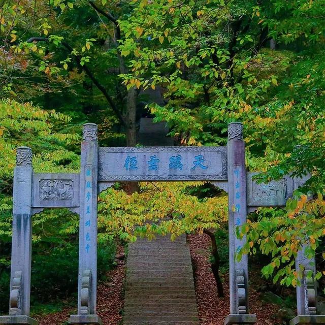 体荟四季｜逃离40℃！这几处“清凉秘境”真的绝了！