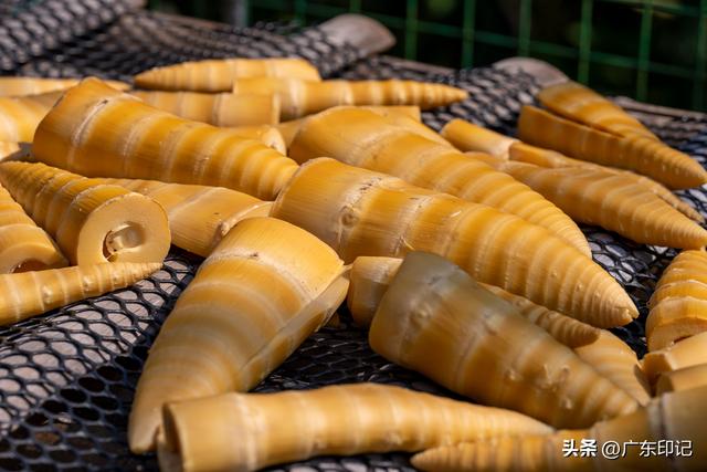 叹温泉、赏美景、品美食，岭南这座城一定别错过！