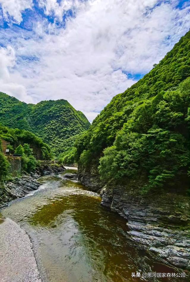 这个夏天,凉爽黑河等风也等你