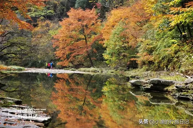 这才是陕西秋景“天花板”，红叶不输光雾山！周末免费，快冲！