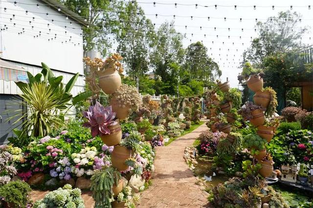 正在公示!红河州3地入选