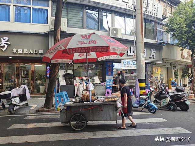福鼎市区一日游：从白茶发源地到市井小吃赏唐风建筑品山海韵味