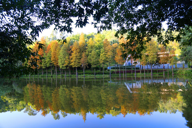 春日踏青何处寻？来龙城公园邂逅“城市生灵自然径”