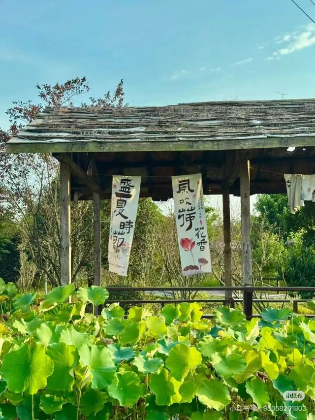 地铁直达！美爆！成都8个秋日限定美景上新！实拍免费，抓紧时间冲！