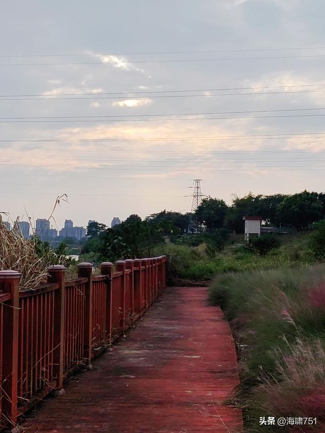 佛山三水芦苞花海生态公园