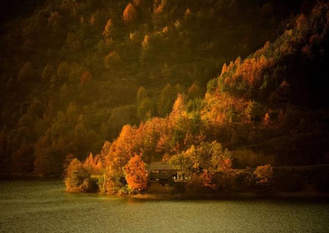 2025利州秋色，每一帧都是限定浪漫