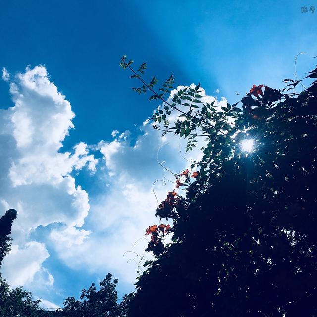 湖北须注意！明天起8月14号～8月17号天气有变！天气预报详情