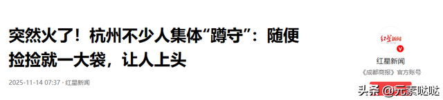 杭州植物园“捡秋”火了，不少人集体“蹲守”，来体验自然的快乐