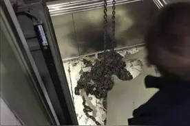 云南电梯坠落20人伤亡！这是坐电梯最害怕的事，发生概率大吗？图片