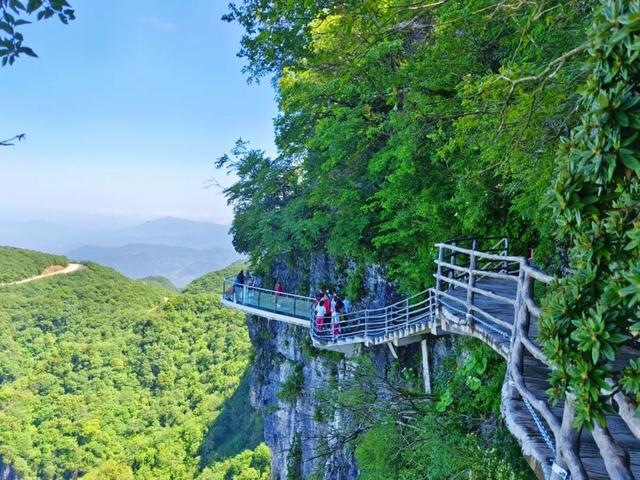 我想离开浪浪山，去汉中奔赴下一个“山海”→