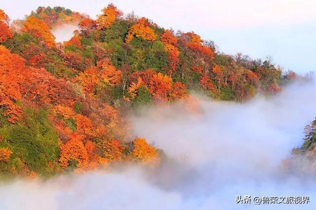 光雾山：川陕腹地的红叶秘境与千年回响