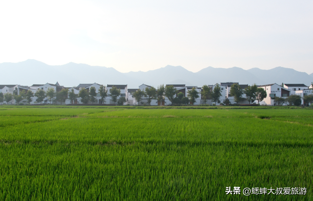 杭州“富春江畔第一村”真棒，吃喝玩乐不愁，还有富春山居图实景