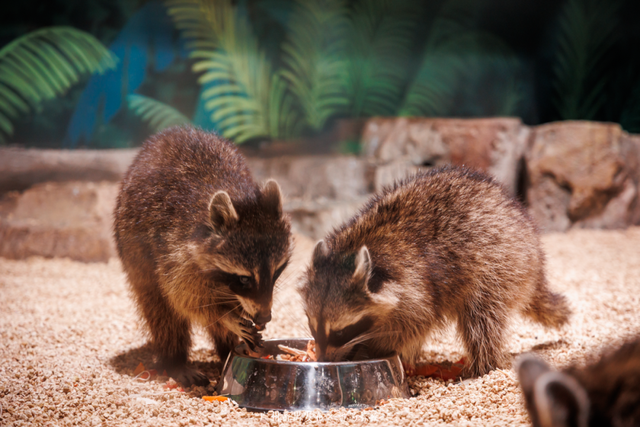 刷爆番禺人朋友圈的新地标，18000㎡的空间究竟藏着什么？