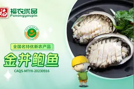 鲜嫩肥美 海味之冠 金井鲍鱼 | 福建省【全国名特优新农产品】图片