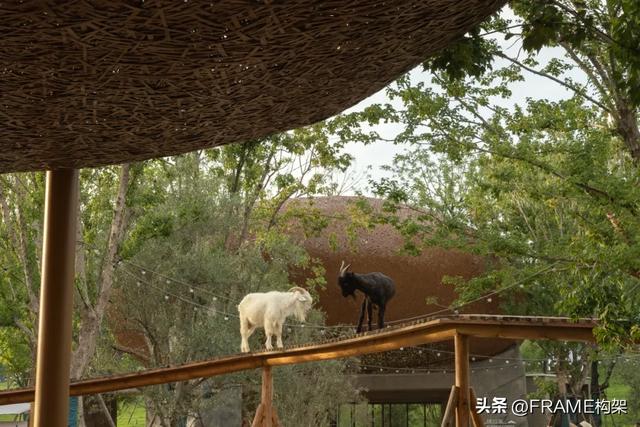 万社设计打造麓客岛动物农场，以设计与自然共谱城市田园牧歌
