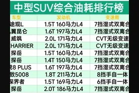 中型SUV也别乱买！最新油耗排行：探岳第5，途观L、探界者进前十图片