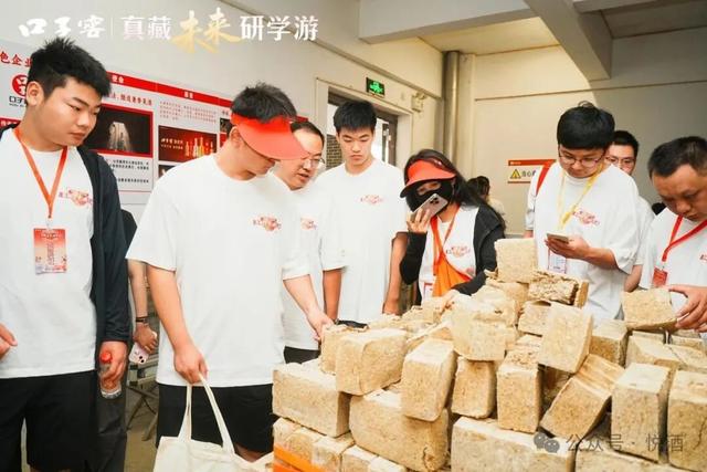 酒香润成长，文化启新程口子窖2025“真藏未来研学游”圆满收官