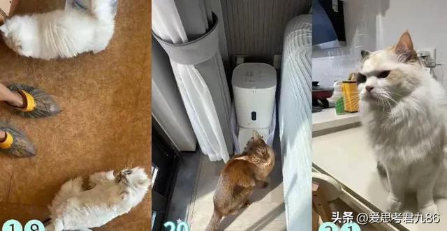 需求突然暴涨！上海男子国庆假期连接270单，其中一单赚了8100元