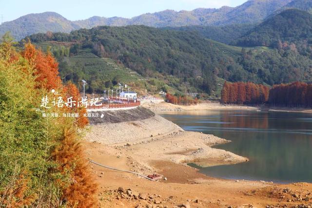 浙江绍兴的网红水库，因红杉胜境而出圈，具体怎么游请看详细攻略