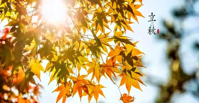 今年立秋不一般，60年一遇“闭眼秋、脱衣秋”，立秋后还热不热