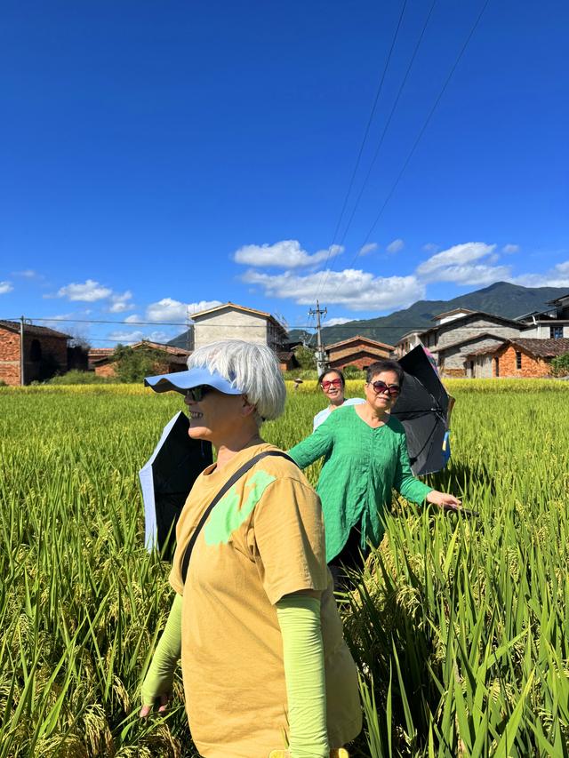 自驾邵武和平古镇三日游(六)春种一粒粟 秋收万颗子 2025·9·25-27