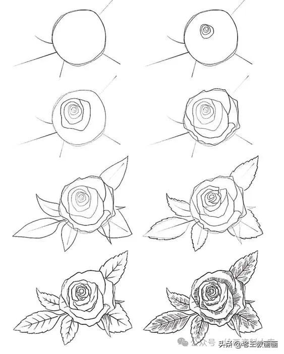 有手就能画！花卉简笔画教程
