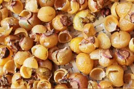 又到了捡无患子的季节，洗手洗碗洗头都靠它了图片