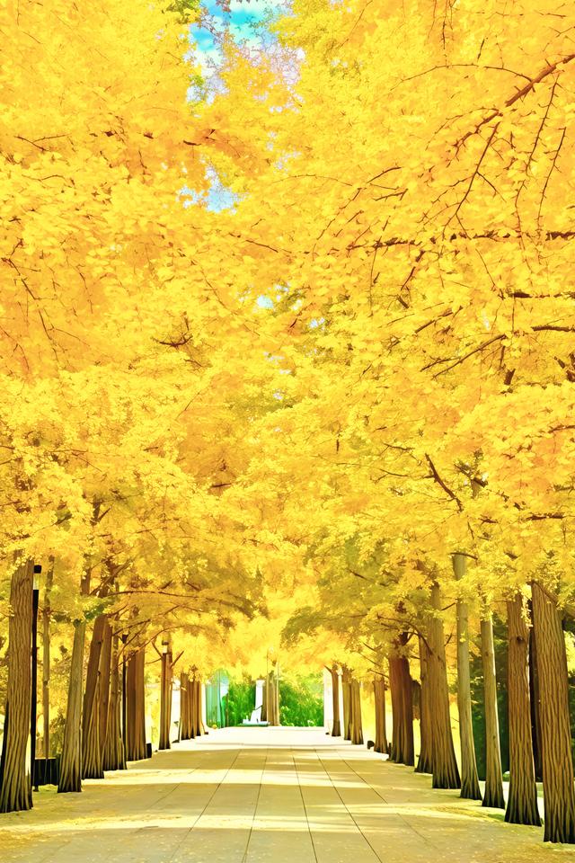 北京的银杏真的杀疯了！超美银杏瀑布，惊呆了整个秋天！