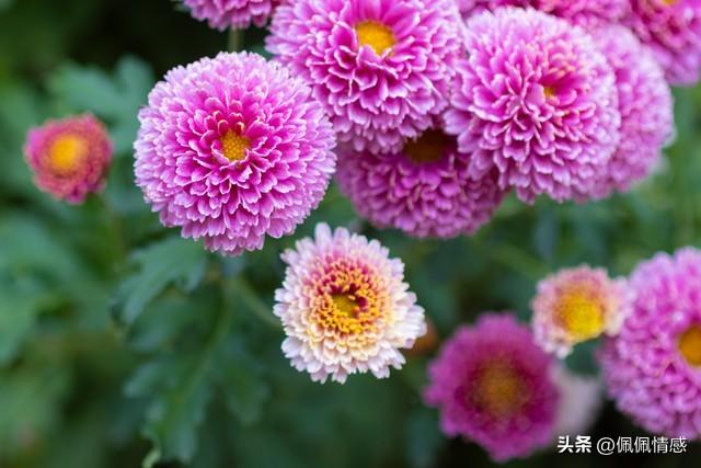 我同居过7位女性，发现女人40岁后找伴侣，无非就这3个“实在话	”