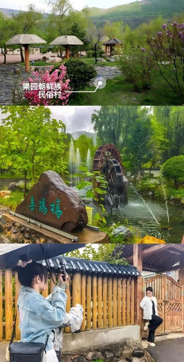 真正懂秋天的人，早已出发自驾吉线331→