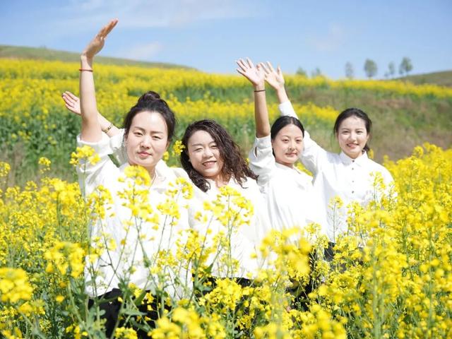 “五一”来礼县 | 礼县宽川镇：“花海经济”绘就乡村振兴新画卷