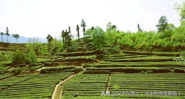 赞!人民日报海外版推介汉中钟家沟景区!