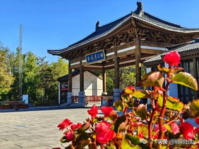 大连城山，挑战台阶之最，金龙寺森林公园风景太美了