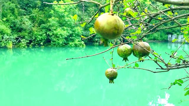 一汪碧水胜九寨：无锡龙山深处的秘境潭影