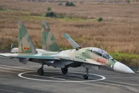 越南空军力量的现役飞机大盘点图片