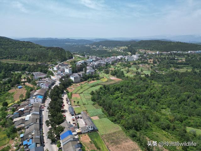 四川行(68)古蜀道——金牛道60公里徒步⑤普安到翠云廊沿途航拍