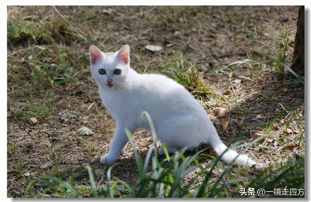 大连滨海路终点的海之韵公园