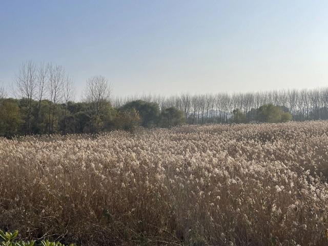 骑游仪征龙山森林公园、六合长江渔村