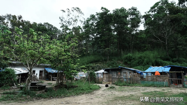 隐匿在广东的冬日秘境：恩平，一座20℃暖冬里的温柔小城