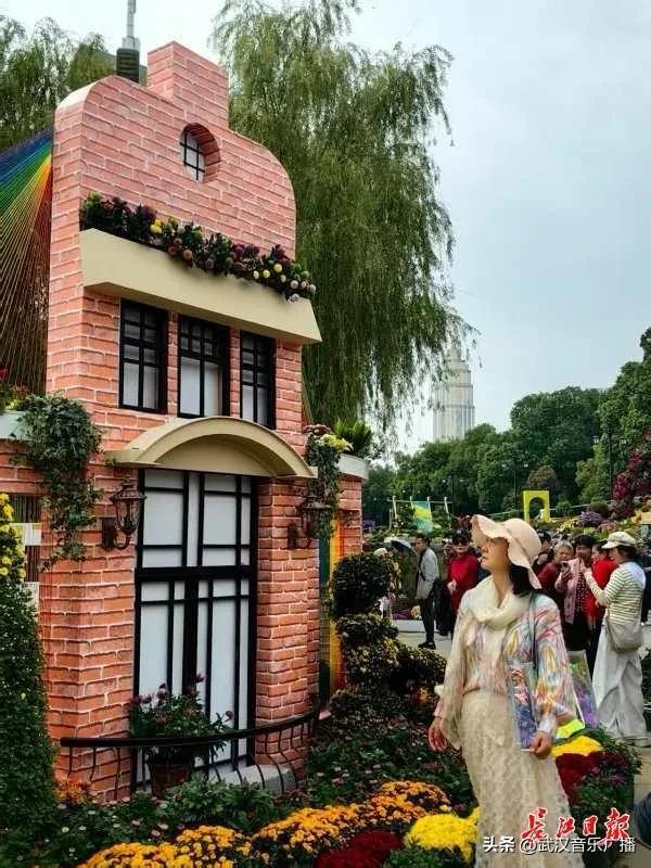 武汉地标纷纷“入景”金秋菊展