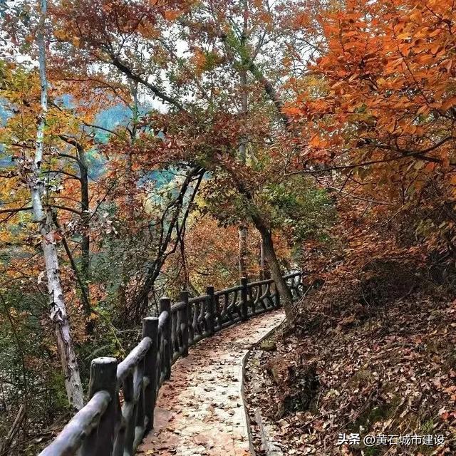 不收门票 全免费!黄石景色最丰富的登山线路来啦