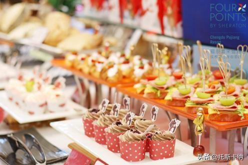 “爪爪心愿·暖冬童话夜”圣诞亮灯温情启幕萌宠与爱共绘冬日美好