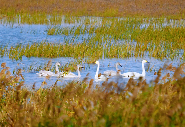 潮游钱塘 造物有声：解码钱塘工业旅游新图景
