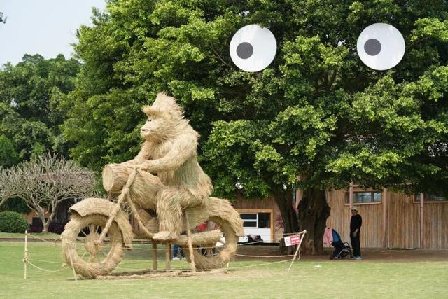 大江新闻粉丝专属福利！100张南昌珍奇植物园门票免费送！