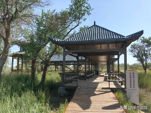 金湖杨国家5A级旅游景区改造升级 开启旅游发展新篇章