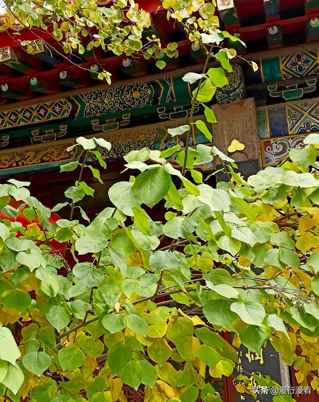 又到鹿泉十方院