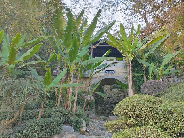 鄂渝行第五天：巴东—宜昌—秭归.屈原故里